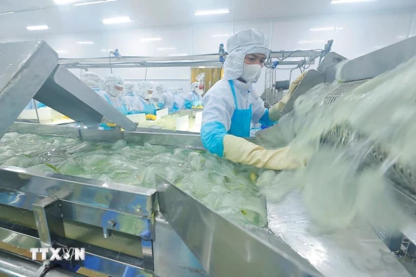 thu-tuong-chi-dao-chan-chinh-ky-cuong-tao-moi-truong-kinh-doanh-cho-doanh-nghiep