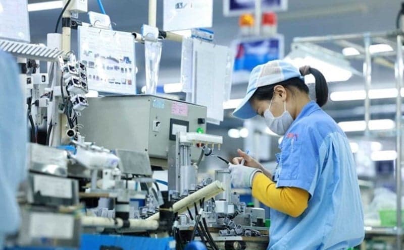 my-chot-thue-doi-ung-hang-hoa-nguon-goc-viet-nam-co-nhieu-uu-the