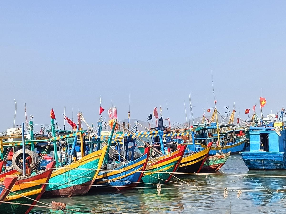 quyet-tam-go-canh-bao-the-vang-tai-dot-thanh-tra-lan-thu-5-cua-ec