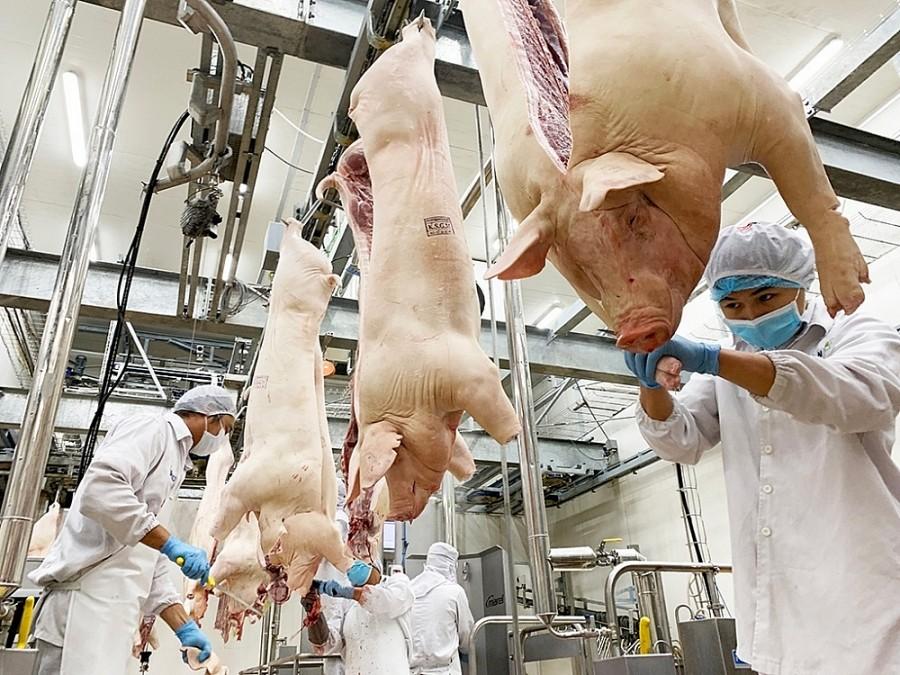 Ngành chăn nuôi trước “sóng gió” Trung Đông: Tăng tốc xuất khẩu, hướng tới mốc 1 tỷ USD