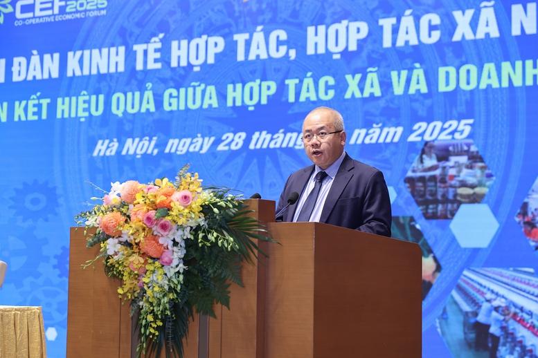 Liên kết hợp tác xã-doanh nghiệp: Lợi ích đa chiều