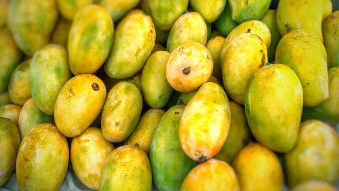 xoai-viet-nam-chiem-toi-97-thi-truong-trung-quoc
