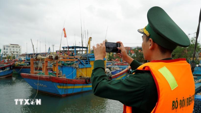 tinh-gian-doi-tau-chuyen-doi-nghe-ca-de-go-the-vang-iuu