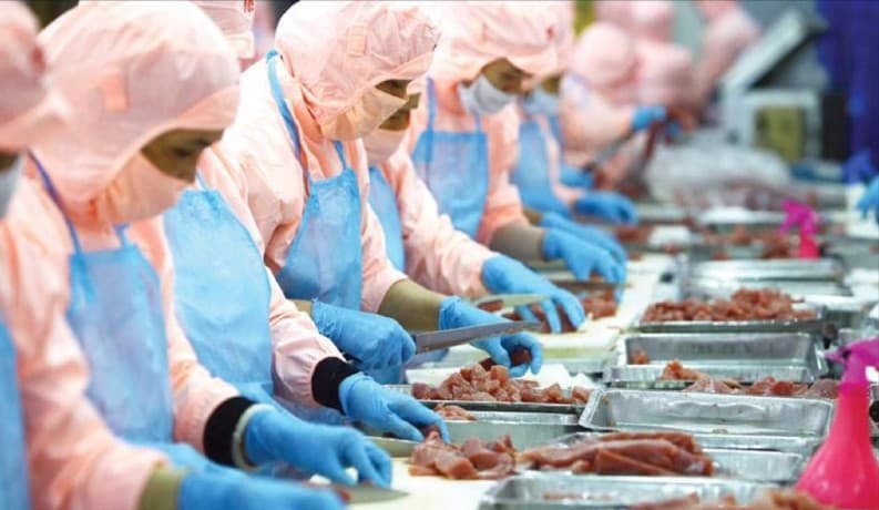 quy-dinh-moi-ve-ho-so-cap-giay-chung-nhan-thuc-pham-xuat-khau