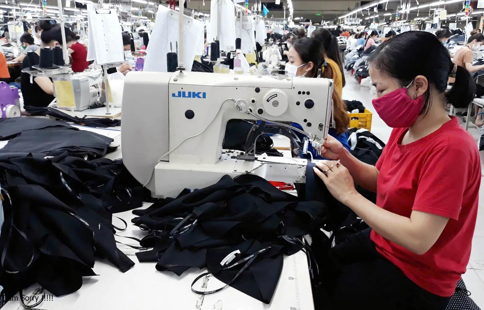 Xuất khẩu Hà Nội “vượt sóng” 2025: Doanh nghiệp nội giữ nhịp tăng trưởng