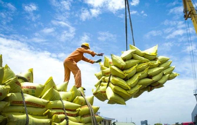 Đảm bảo việc điều hành sản xuất và tiêu thụ lúa gạo trong tình hình mới