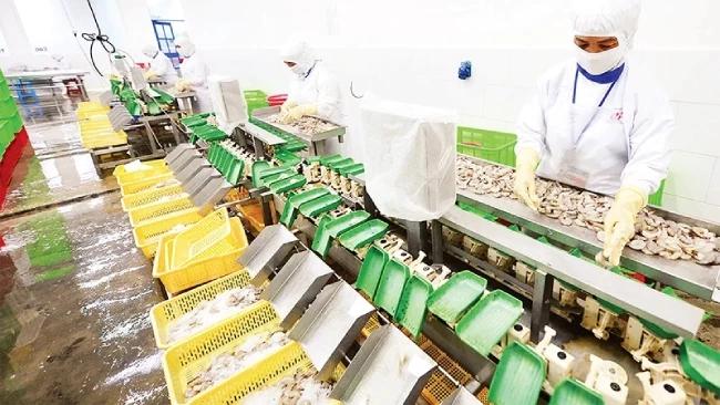 loi-di-nao-cho-doanh-nghiep-truoc-nhung-dieu-chinh-chinh-sach-lon-cua-eu