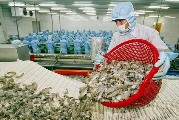 Những thách thức của xuất khẩu thủy sản trong năm 2026