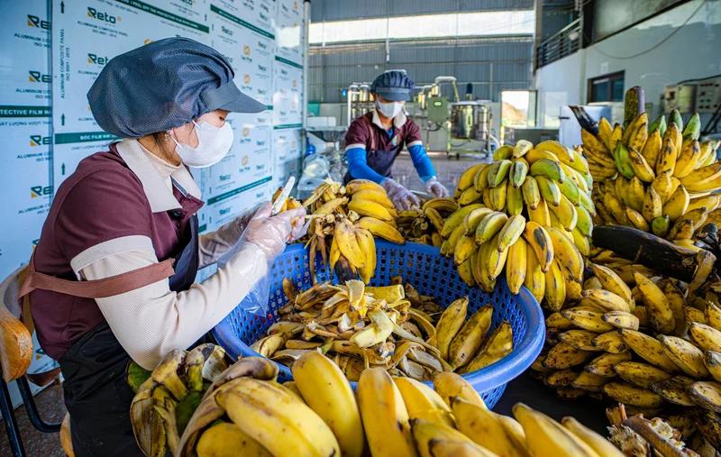 nang-tam-nong-san-vung-cao-bien-loi-the-ban-dia-thanh-loi-mo-thoat-ngheo