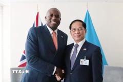 viet-nam-thuc-day-quan-he-hop-tac-voi-anh-va-ba-lan