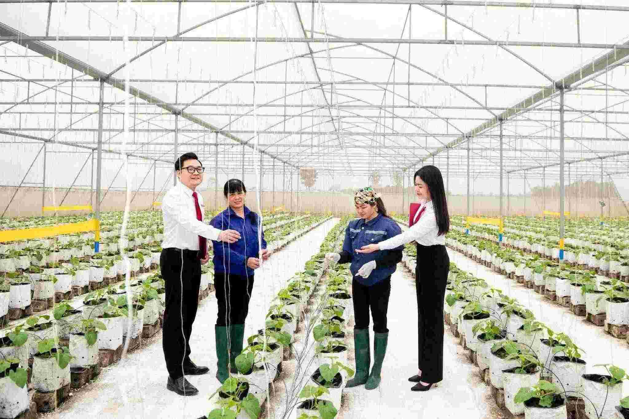 Agribank khẳng định vai trò trụ cột tài chính, tạo đà bứt phá cho kỷ nguyên phát triển mới