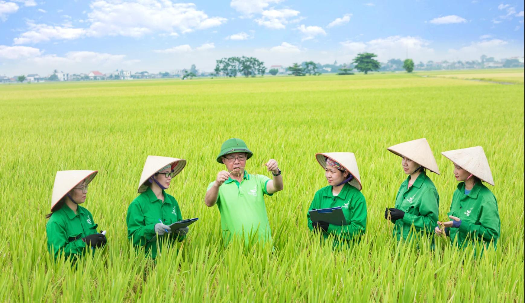 chu-tich-tap-doan-thaibinh-seed-khong-co-khoa-hoc-cong-nghe-khong-phat-trien-duoc