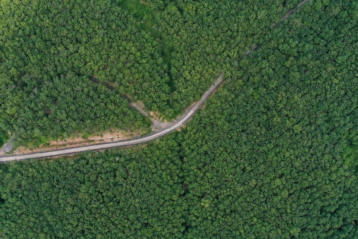 Phát triển chuỗi giá trị xanh là xu hướng tất yếu trong tiến trình chuyển đổi nông nghiệp