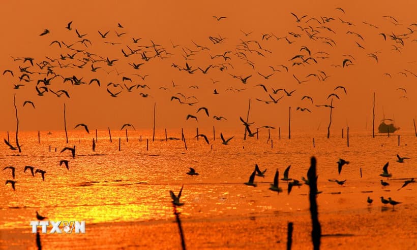 ninh-binh-dat-muc-tieu-hinh-thanh-2-3-khu-du-lich-bien-thuong-hieu-manh