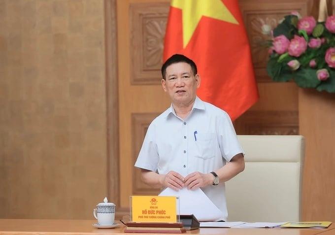pho-thu-tuong-xu-nghiem-hanh-vi-so-huu-cheo-cap-tin-dung-khong-dung-quy-dinh-phap-luat