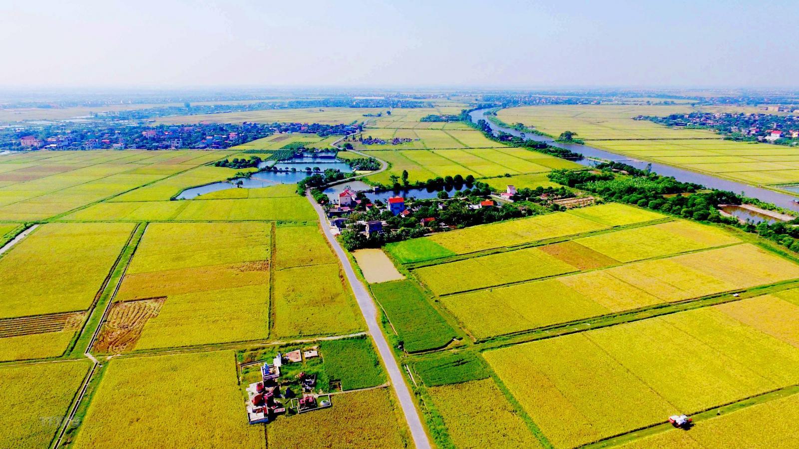 Quy định mới về chuyển đất nông nghiệp sang đất thổ cư năm 2025