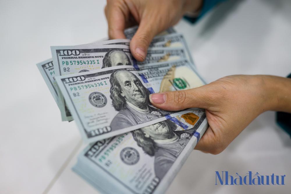 Vàng và USD được dự báo tiếp tục tăng giá trong năm 2025