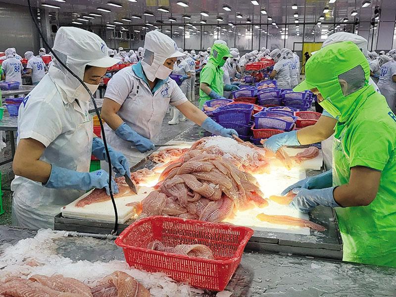 ky-luc-moi-cua-thuong-mai-viet-nam