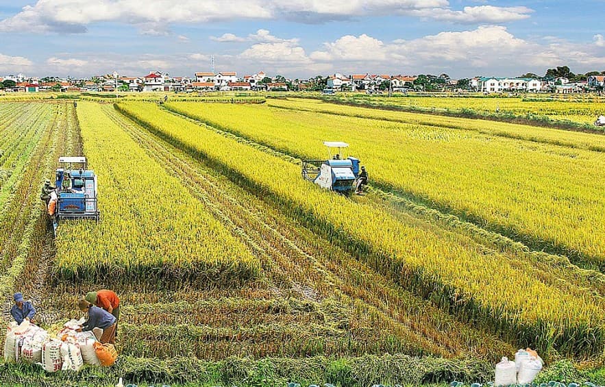 viet-nam-mot-dia-diem-dang-mo-uoc-de-kinh-doanh