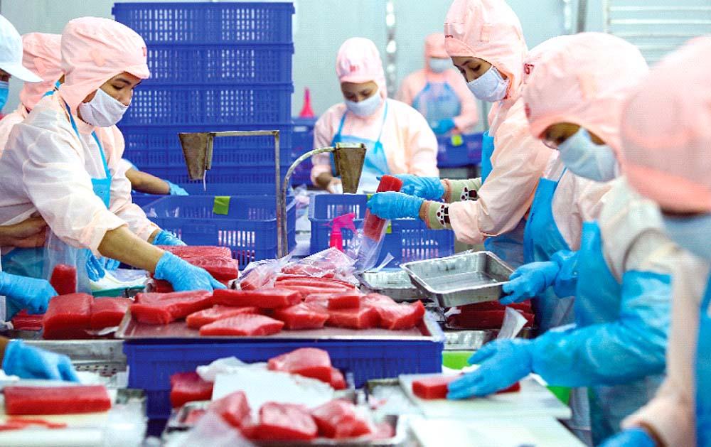Doanh nghiệp đầu tư cho thương mại bền vững
