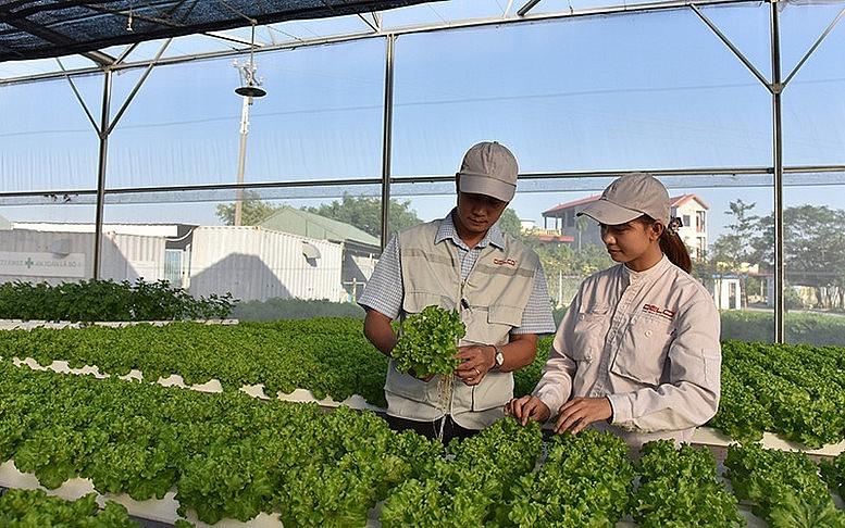 Không bỏ lỡ cơ hội vàng thúc đẩy kinh tế tuần hoàn
