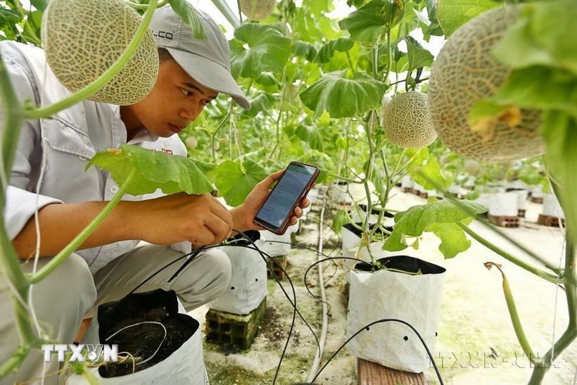 bai-cuoi-phan-vung-nong-nghiep-nang-cao-gia-tri-gia-tang