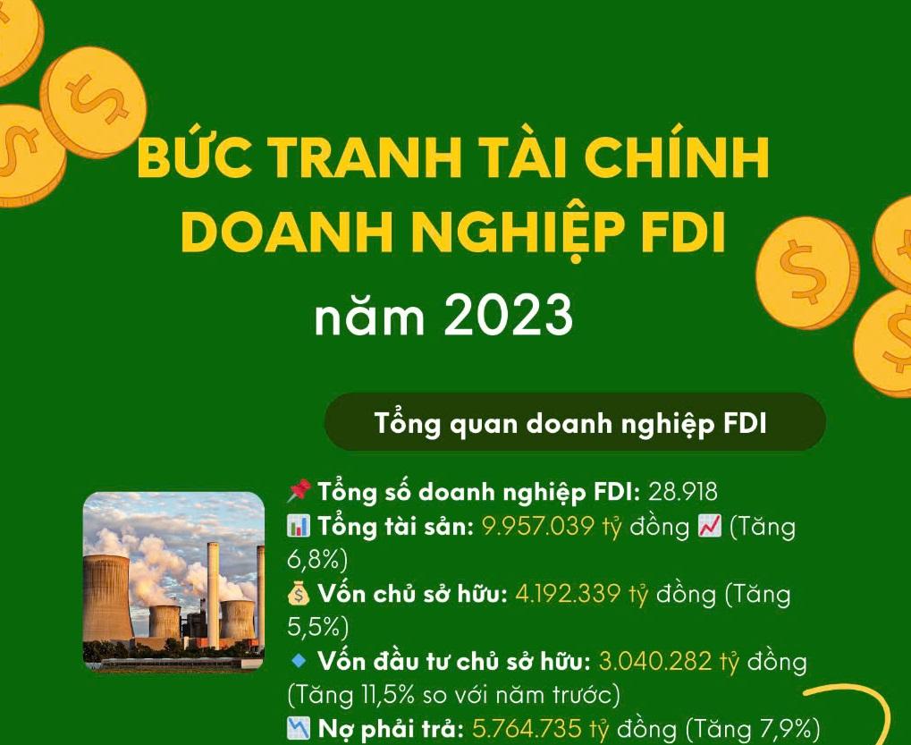 buc-tranh-tai-chinh-doanh-nghiep-fdi-nam-2023