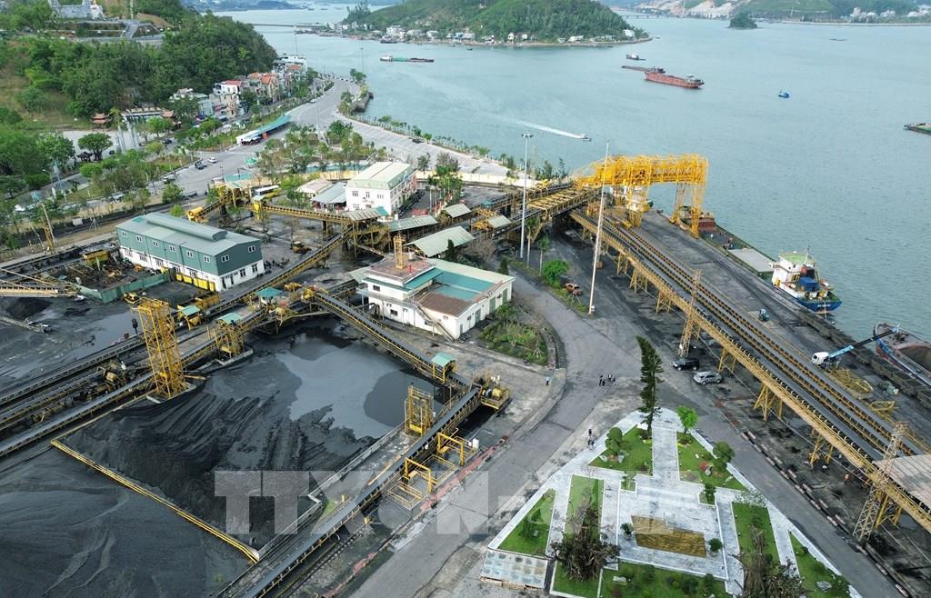 du-bao-nhu-cau-su-dung-than-buoc-vao-chu-ky-tang-truong-manh