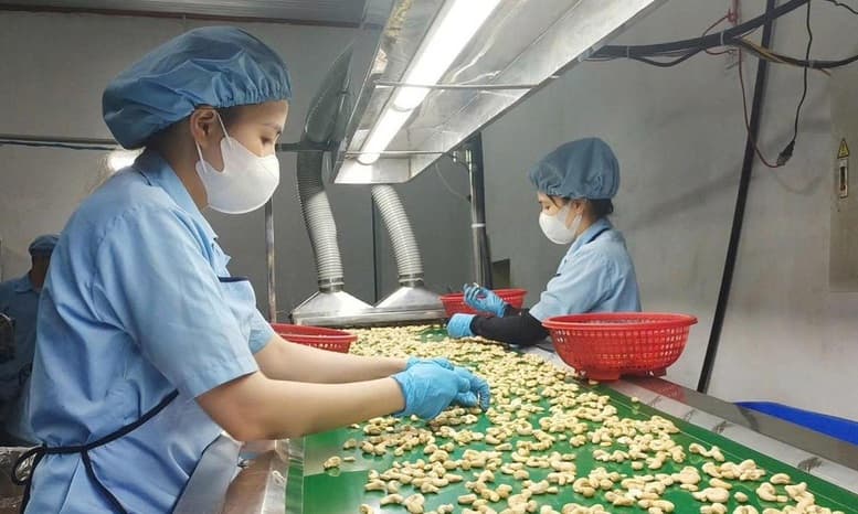 nong-san-xuat-khau-chu-dong-truoc-cu-soc-trung-dong