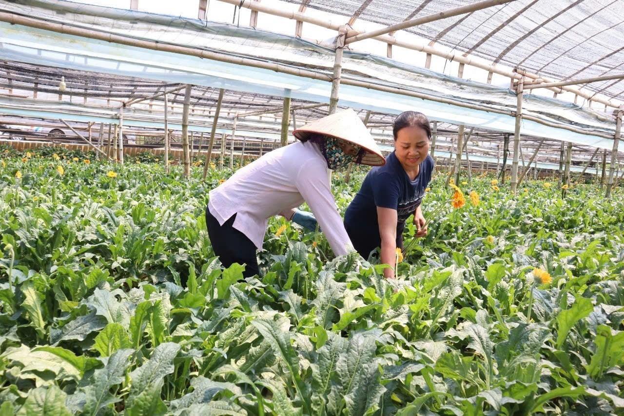 Nông nghiệp Hà Nội phát triển vững mạnh sau 70 năm giải phóng Thủ đô