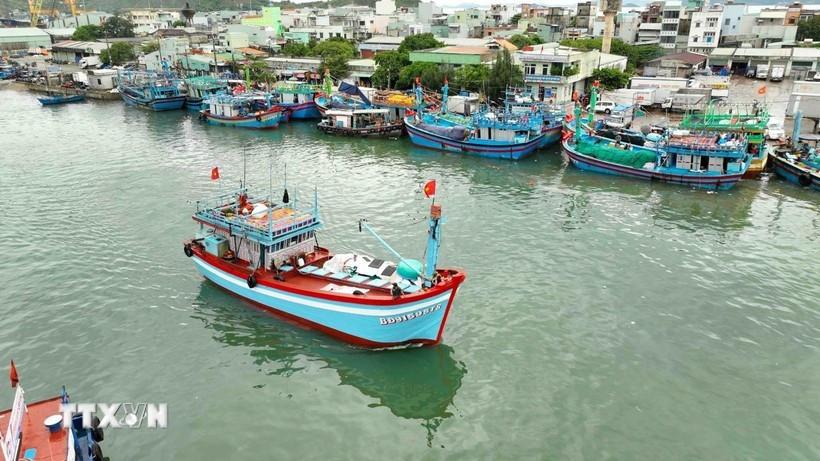 Quyết gỡ “thẻ vàng” IUU trong năm 2025: Cả nước đang bước vào giai đoạn then chốt