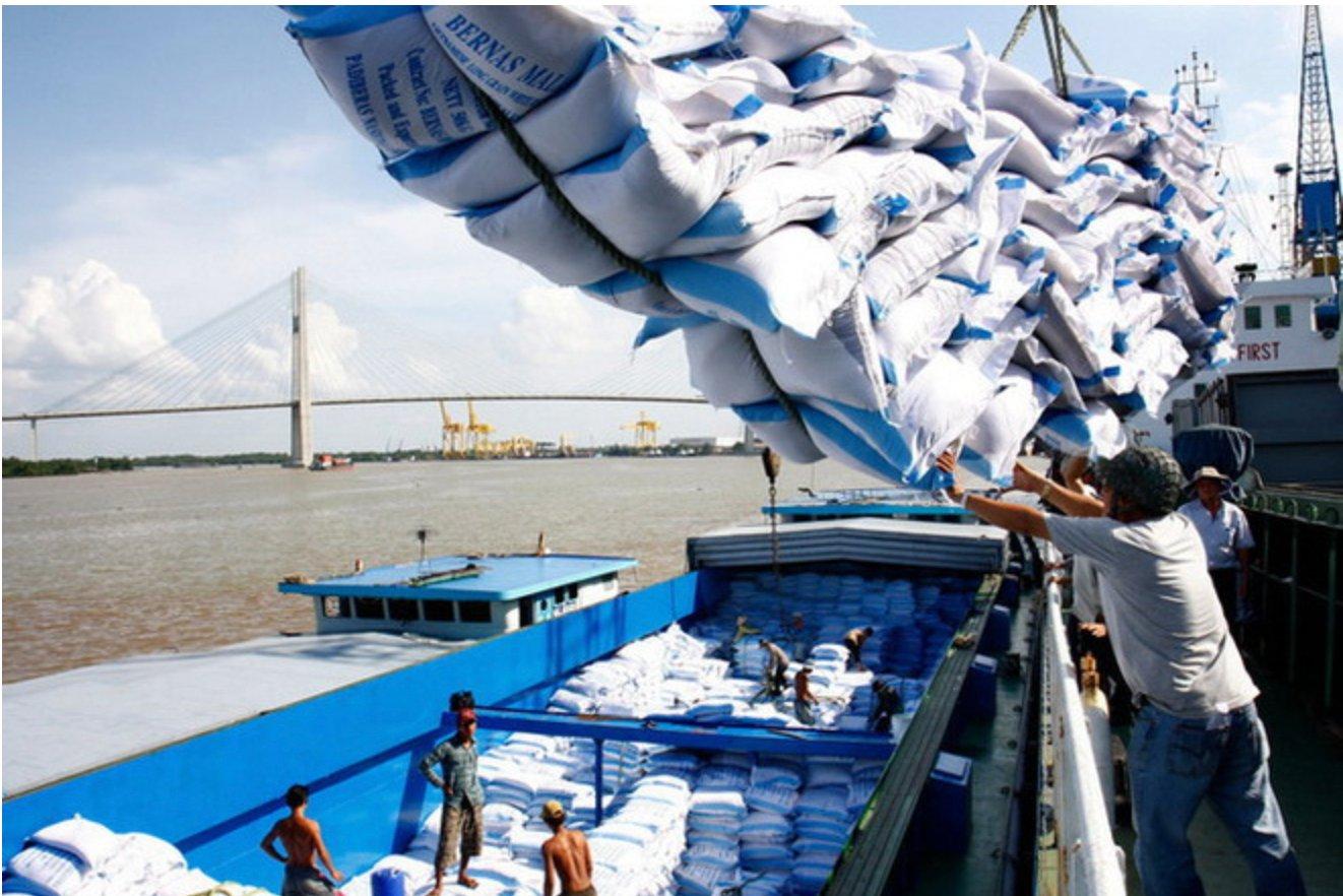 philippines-hoan-nhap-gao-den-het-2025-dn-viet-gong-minh-giu-gia