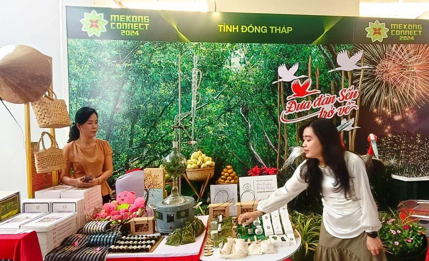 dong-thap-xu-ly-ho-so-cong-viec-theo-tien-do-1-3-5-de-phat-trien-kinh-te