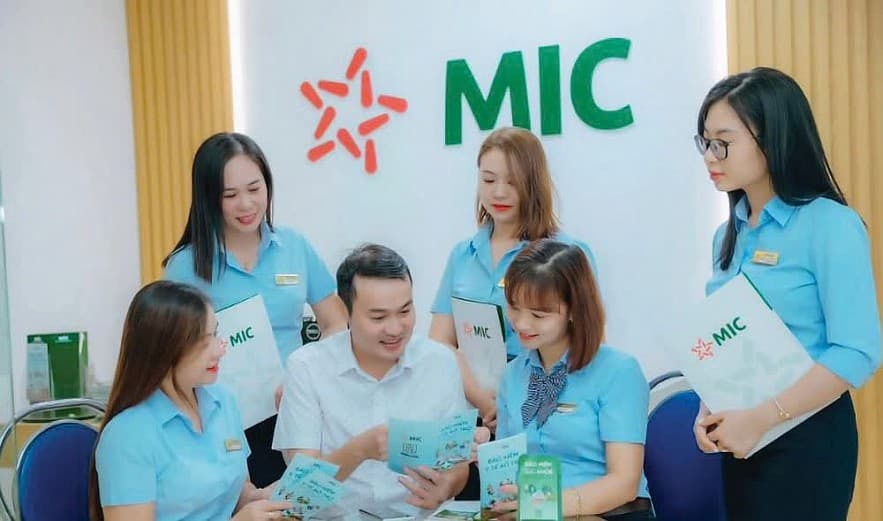 doanh-nghiep-bao-hiem-phi-nhan-tho-tinh-toan-buoc-di-trong-cuoc-dua-thi-phan