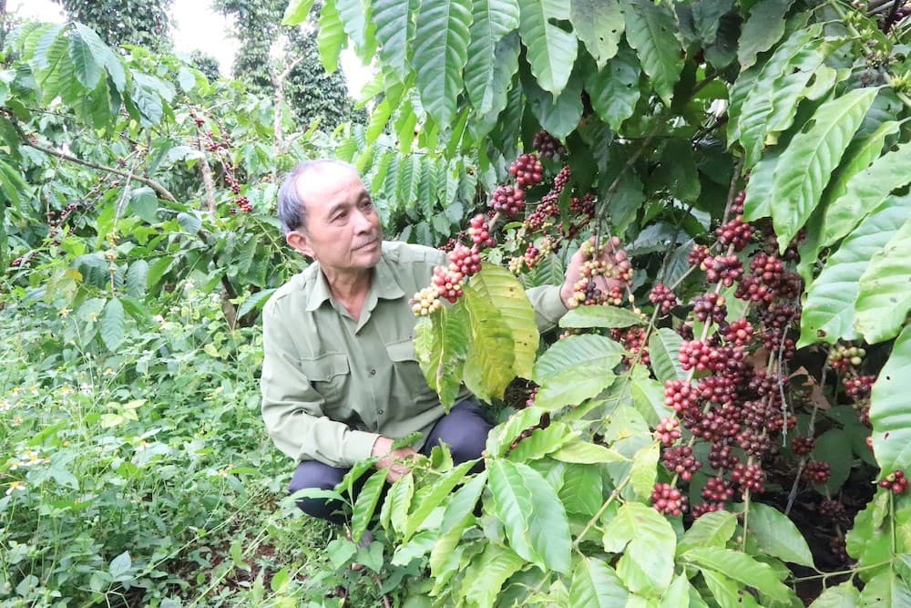 siet-chat-trach-nhiem-canh-tac