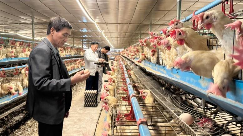 Nông nghiệp tuần hoàn: Mở đường cho tăng trưởng xanh