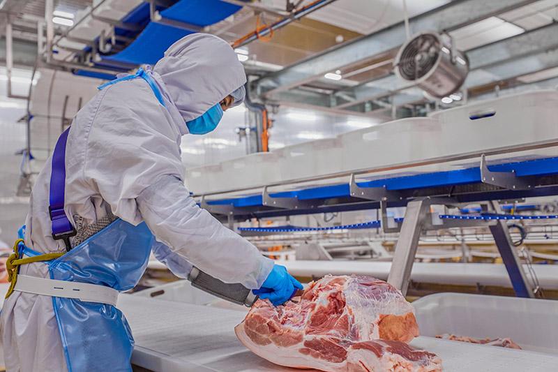 vi-sao-masan-meatlife-se-ghi-nhan-quy-thu-hai-lien-tiep-dat-loi-nhuan-sau-thue-duong