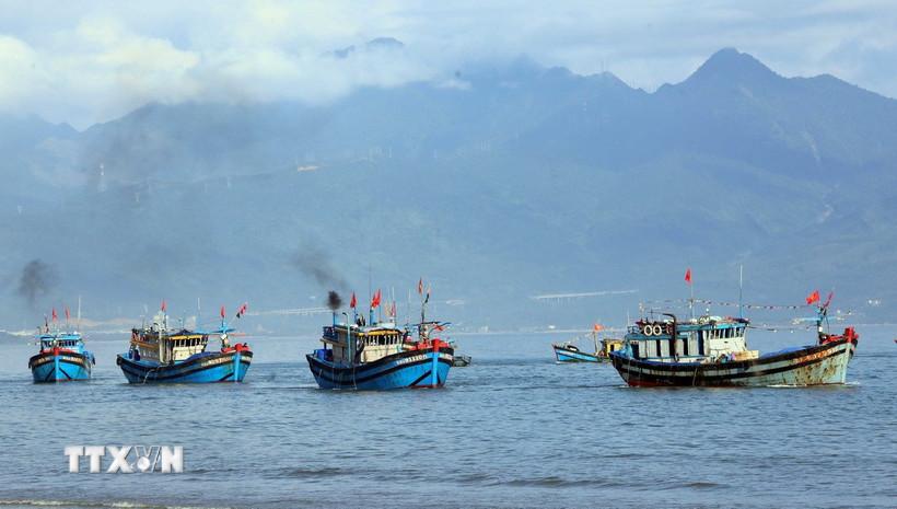 Hoàn thiện hành lang pháp lý bảo vệ nguồn lợi và phát triển ngành thủy sản