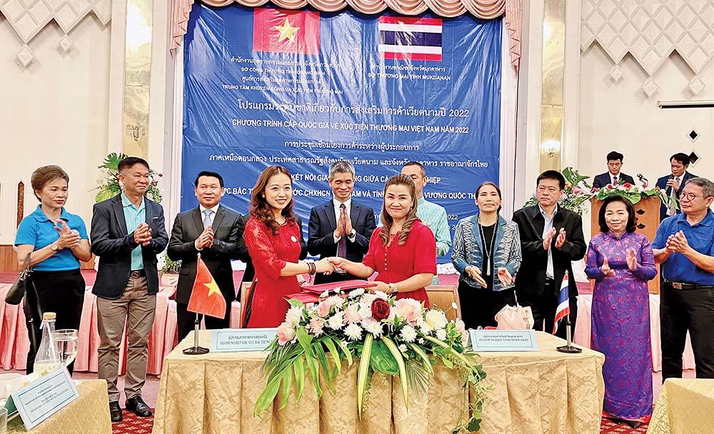 ceo-tran-le-quynh-diem-nang-tam-duoc-lieu-huu-co-tren-vung-go-doi-cam-lo