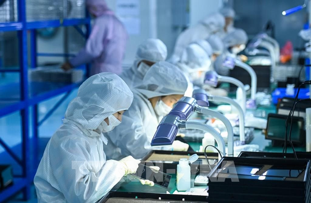 cong-nghe-thong-minh-thuc-day-nuoi-trong-thuy-san-ben-vung