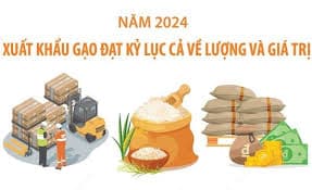 xuat-khau-gao-dat-ky-luc-ca-ve-luong-va-gia-tri-trong-nam-2024