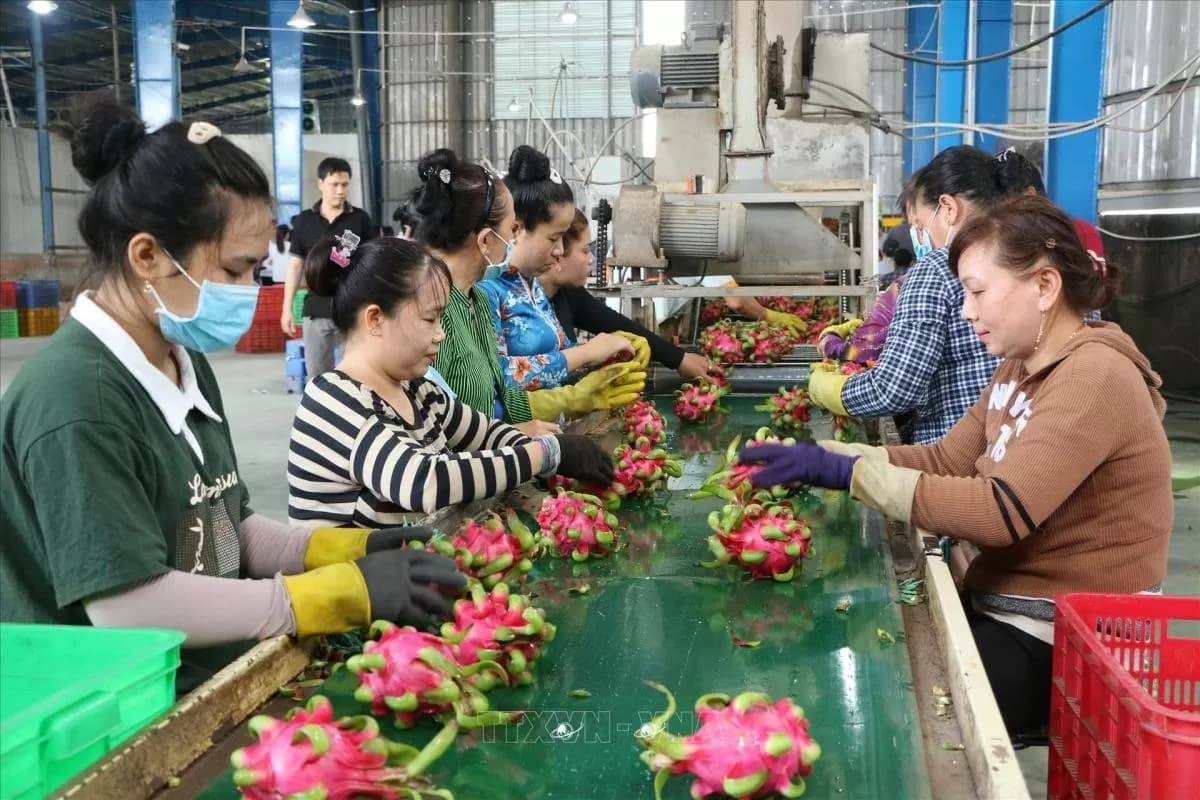 xuat-nhap-khau-hang-hoa-11-thang-nam-2024-dat-71555-ty-usd