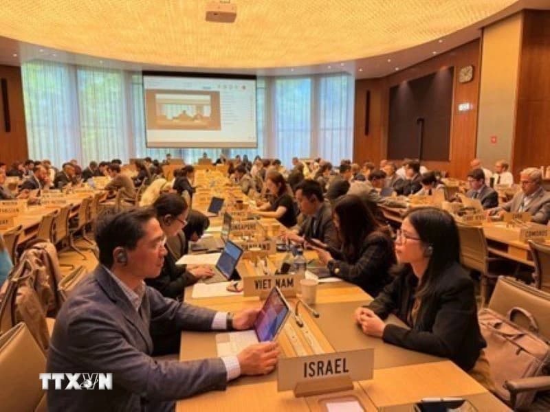 viet-nam-tham-gia-cac-phien-hop-ve-phong-ve-thuong-mai-tai-wto