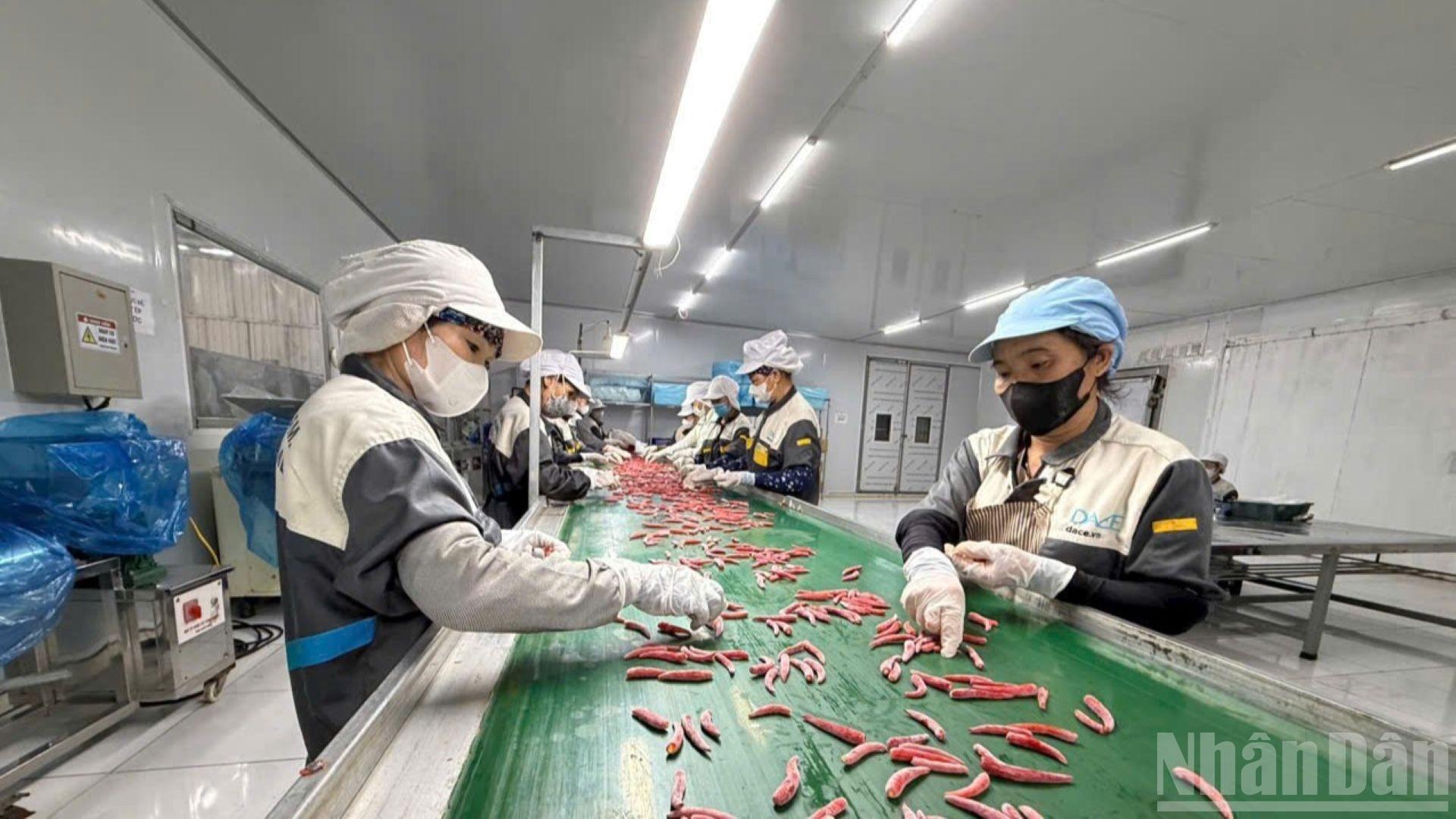 buc-tranh-hoat-dong-doanh-nghiep-2025-co-nhieu-diem-sang-tich-cuc