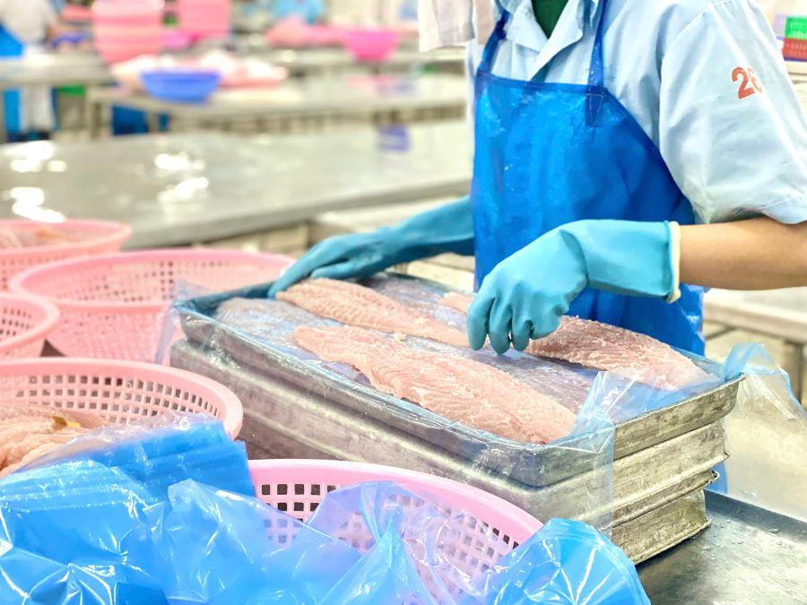 Thúc đẩy sớm hoàn tất đàm phán FTA Việt Nam - Khối thị trường chung Nam Mỹ