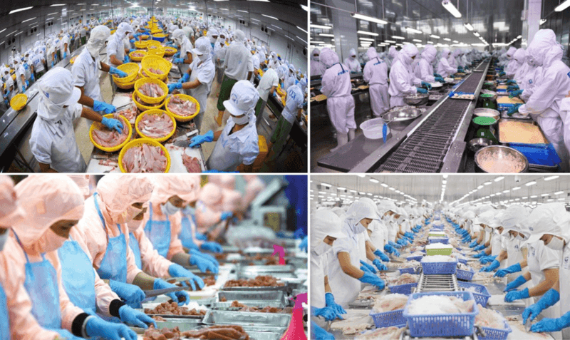 Viet Nam International Sourcing 2026: Điểm hẹn của chuỗi cung ứng thủy sản toàn cầu