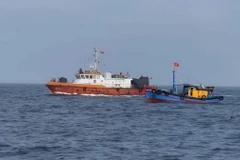 Khắc phục "thẻ vàng" IUU: Quảng Trị không còn tàu cá "3 không"