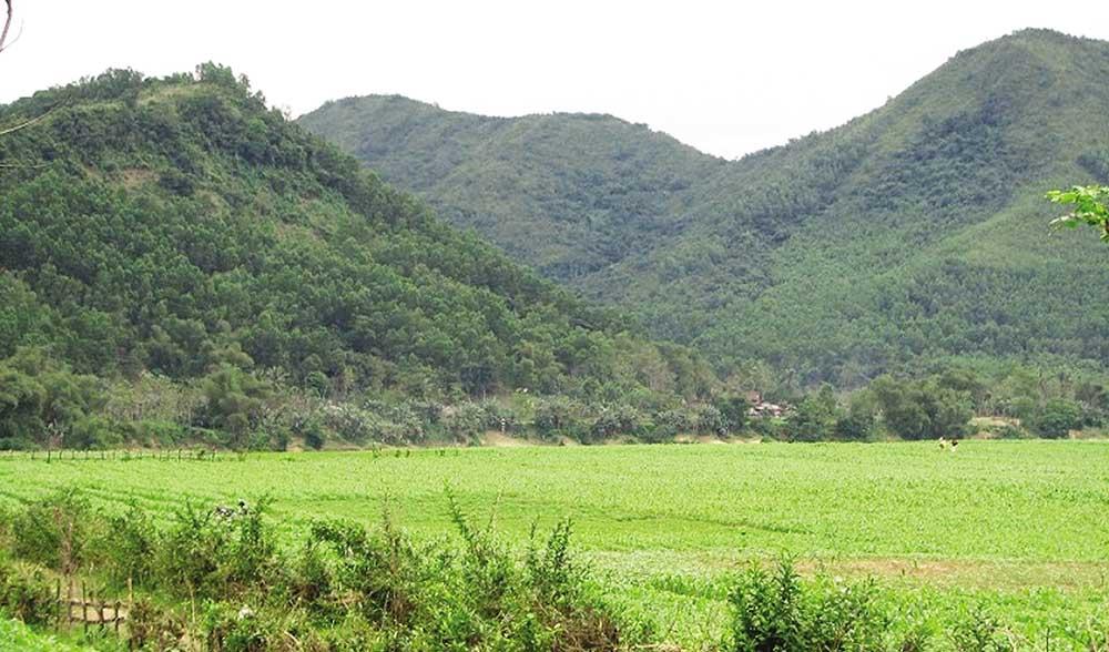 doanh-nghiep-de-xuat-4-du-an-chan-nuoi-khung-quang-nam-than-trong