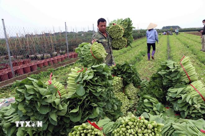 Nông nghiệp - điểm hẹn chiến lược