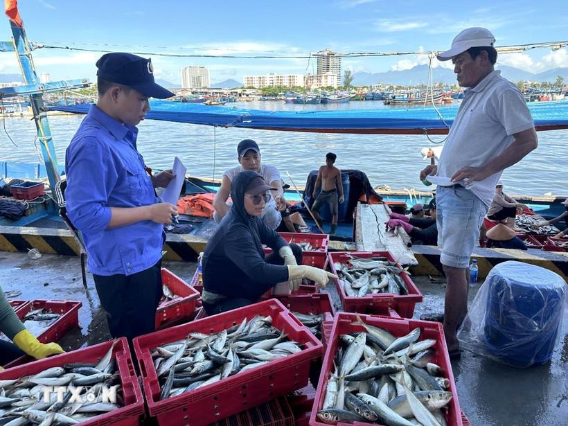 Khắc phục "thẻ vàng" IUU: Kiểm soát từ cảng cá, chủ động chống khai thác IUU